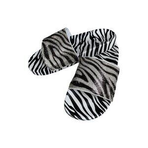 Zebra Slides